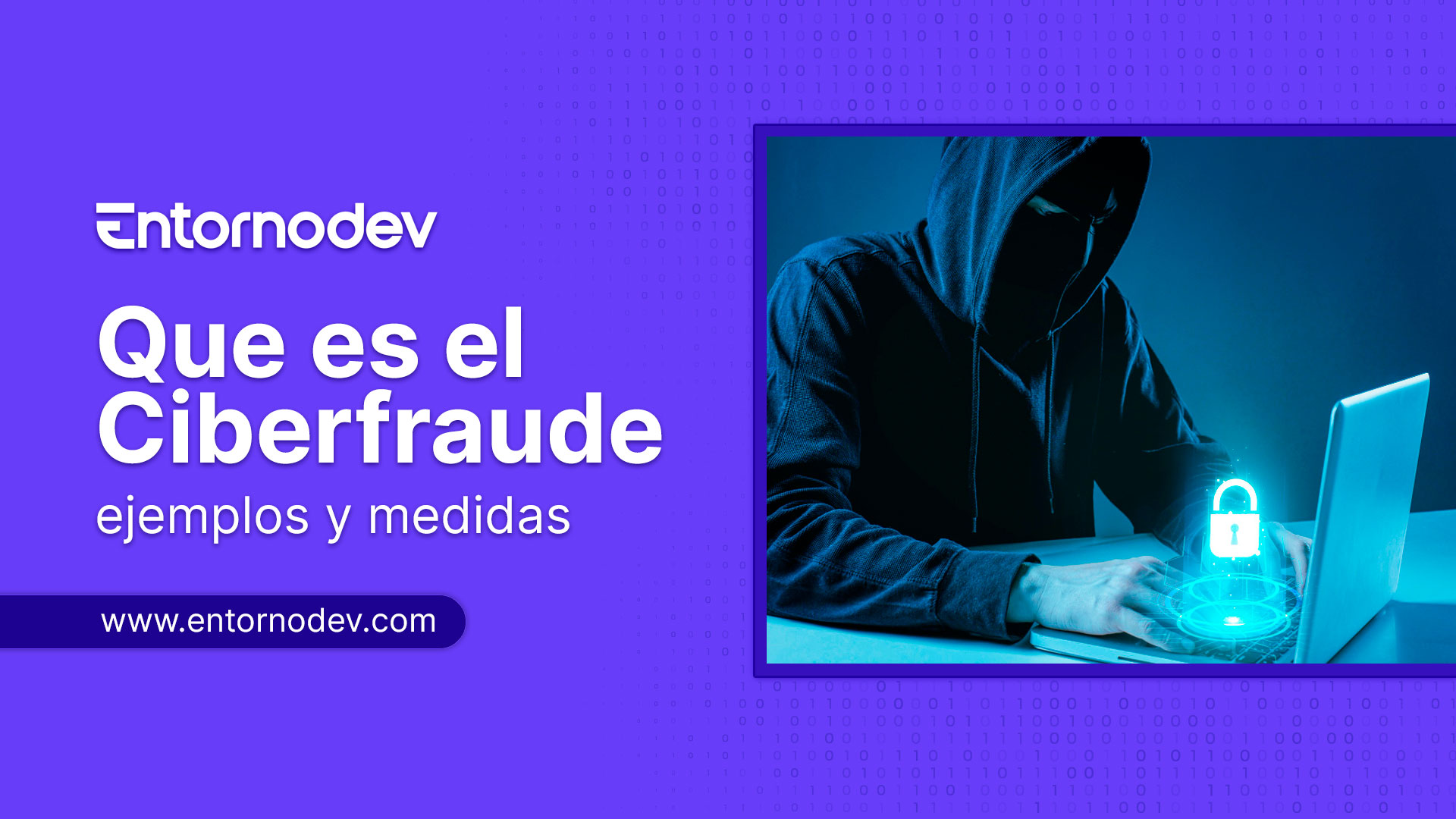 Que es el ciberfraude