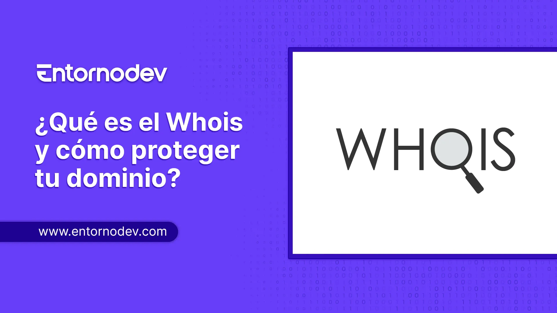 Qué es el Whois y cómo proteger la privacidad de tu dominio
