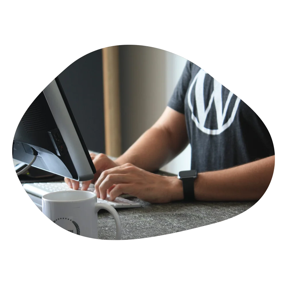 Mantenimiento Web WordPress