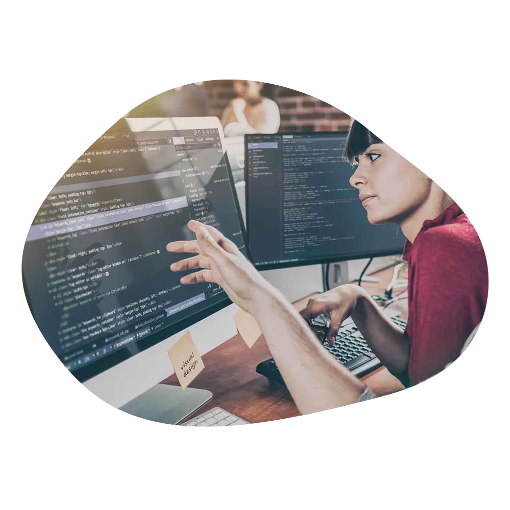 Soporte técnico para WordPress