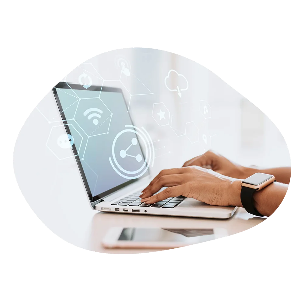 hosting web SSD